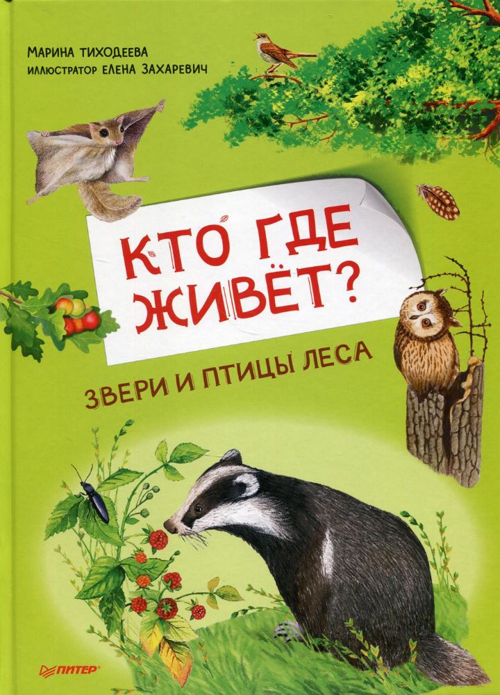 Кто где живёт?Звери и птицы леса