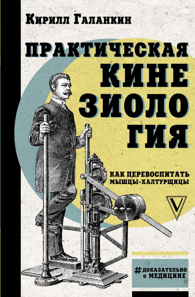 Практическая кинезиология: как перевоспитать мышцы-халтурщицы