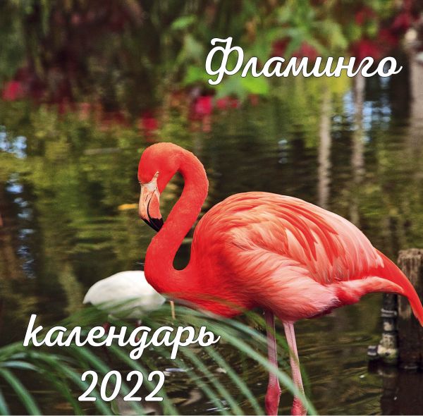 Фламинго. Календарь настенный на 2022 год (300х300 мм)