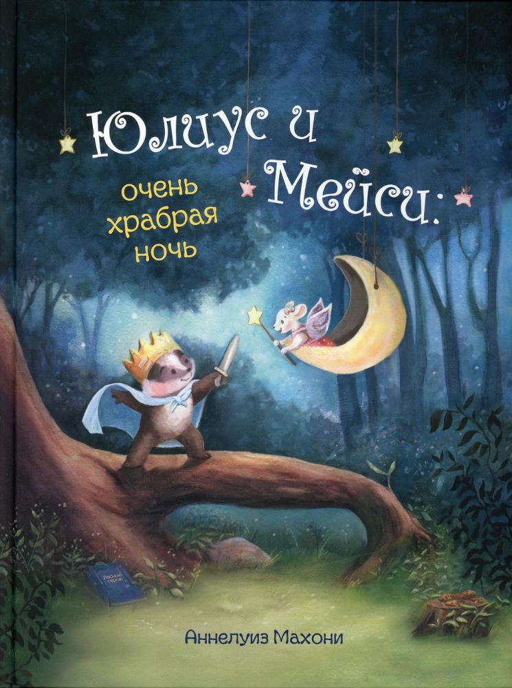 Юлиус и Мэйси: очень храбрая ночь