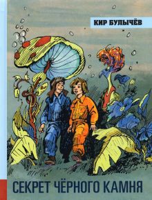 ИБФИП/Секрет черного камня