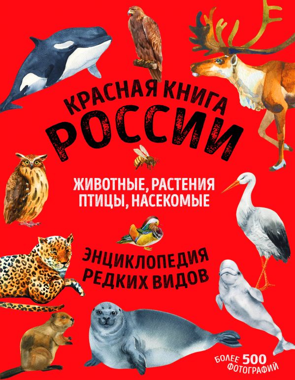 Красная книга России: все о жизни дикой природы (новый дизайн, больше иллюстраций, офсетная печать)