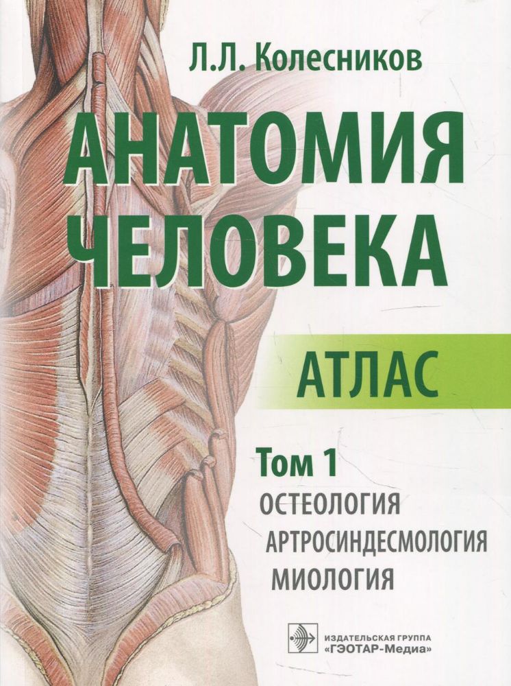 Анатомия человека. Атлас. В 3 т. Т. 1. Остеология, артросиндесмология, миология
