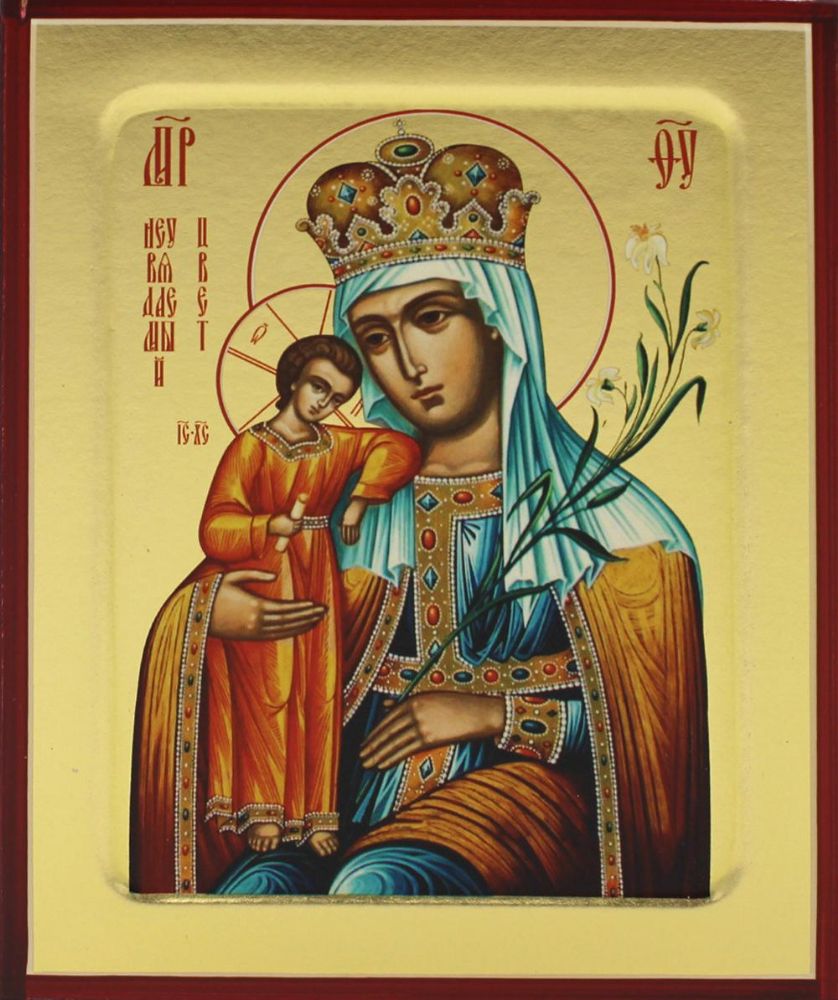 Икона Пресвятой Богородицы Неувядаемый Цвет на дереве: 125 х 160
