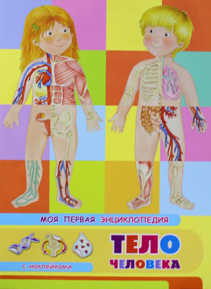 Моя первая энциклопедия. Тело человека. Книжка с наклейками