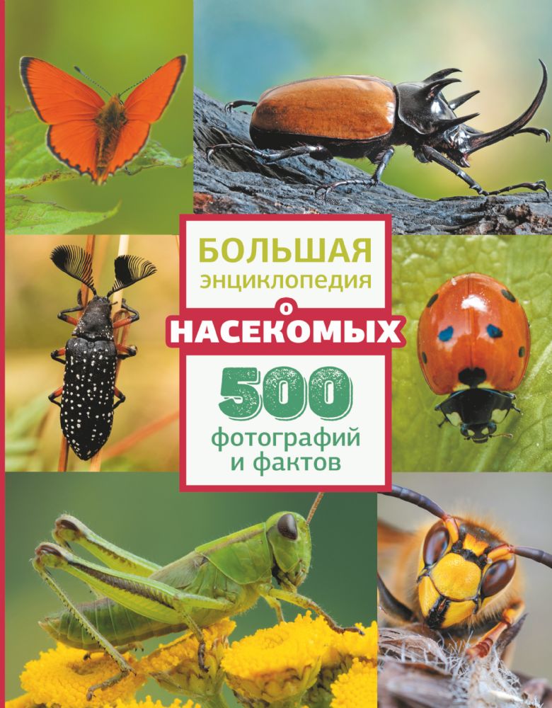 Большая энциклопедия о насекомых. 500 фотографий и фактов