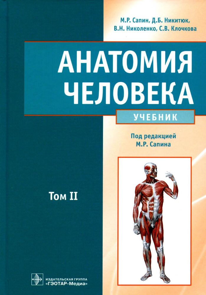 Анатомия человека: Учебник. В 2 т. Т. 2