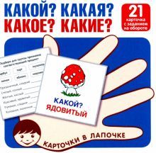 Какой? Какая? Какое? Какие?