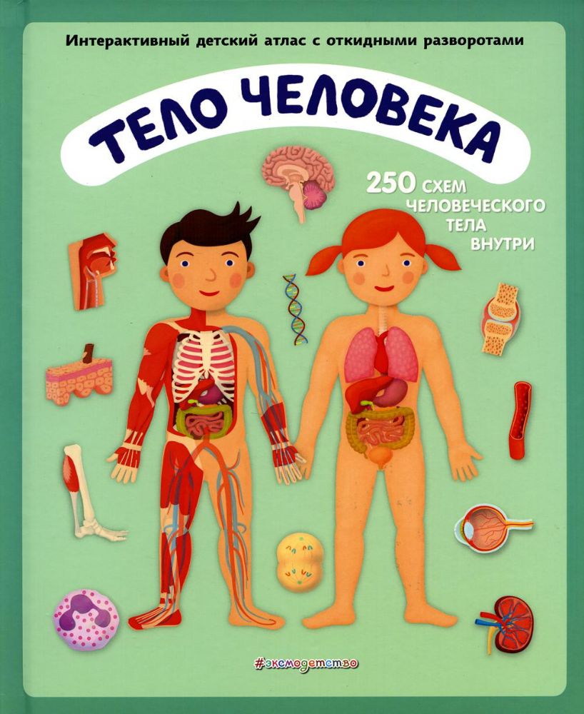 Тело человека. Интерактивный детский атлас с откидными разворотами