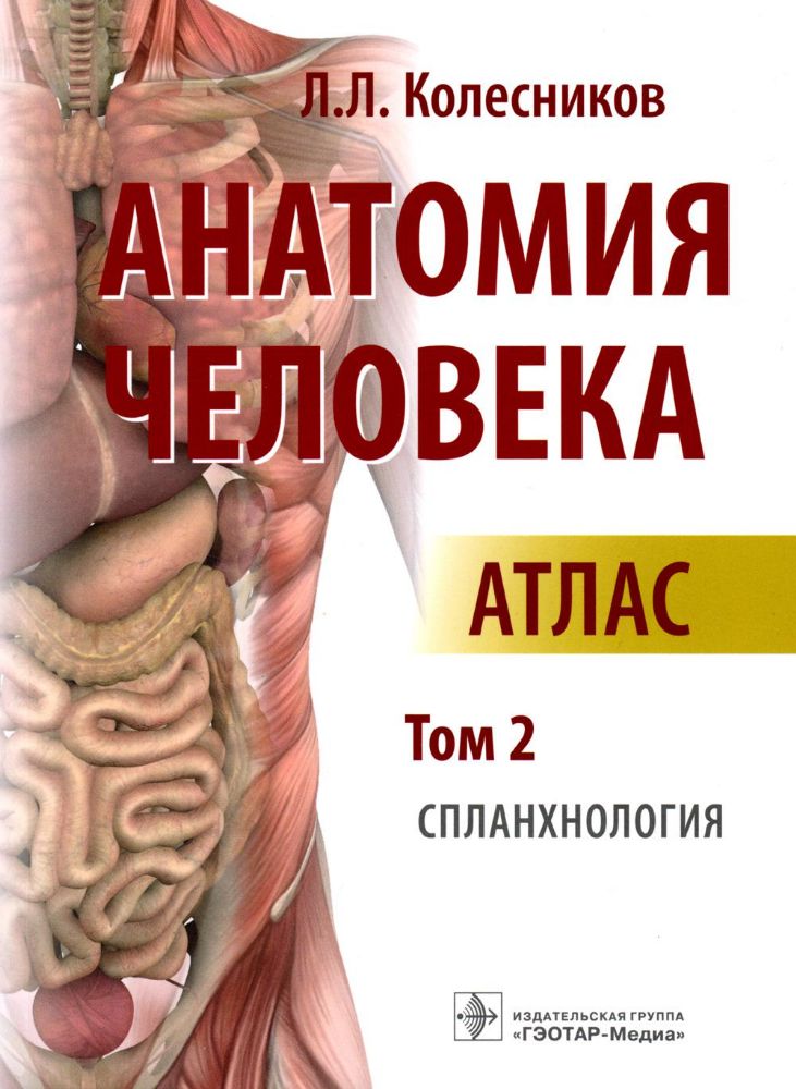 Анатомия человека : атлас : в 3 т. Т. 2. Спланхнология