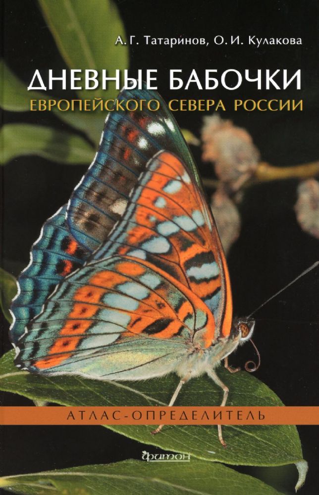 Дневные бабочки Европейского Севера России
