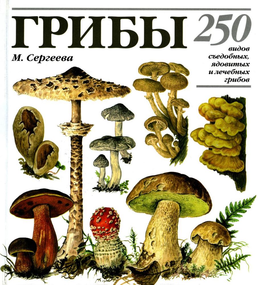 Грибы: 250 видов съедобных, ядовитых и лечебных грибов