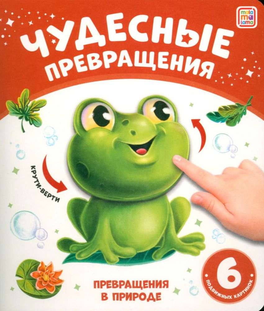Превращения в природе: картонная книжка