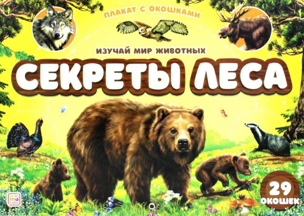 Секреты леса: плакат с окошками