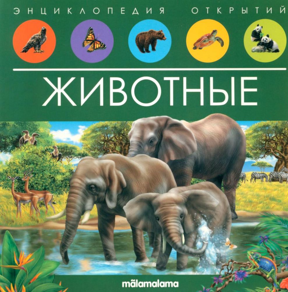 Животные: книжка-панорамка