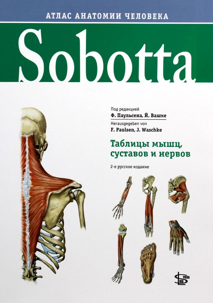 Sobotta. Таблицы мышц, суставов и нервов