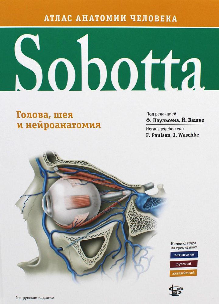 Sobotta. Атлас анатомии человека. В 3 т. Т. 3: Голова, шея и нейроанатомия. 2-е изд