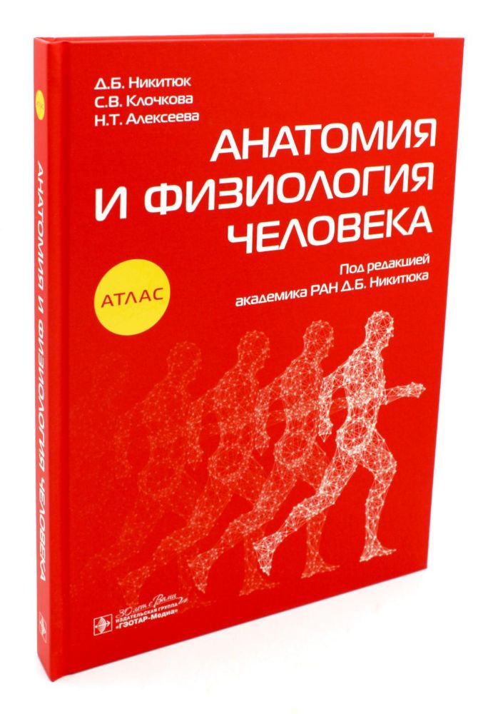 Анатомия и физиология человека: атлас
