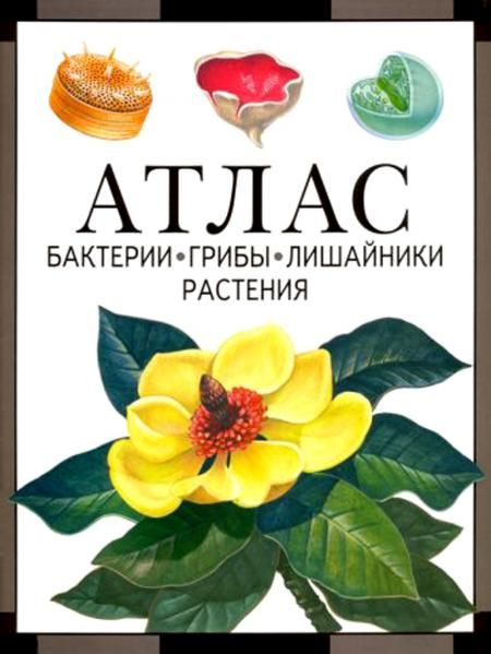 Бактерии, грибы, лишайники, растения: атлас. 4-е изд