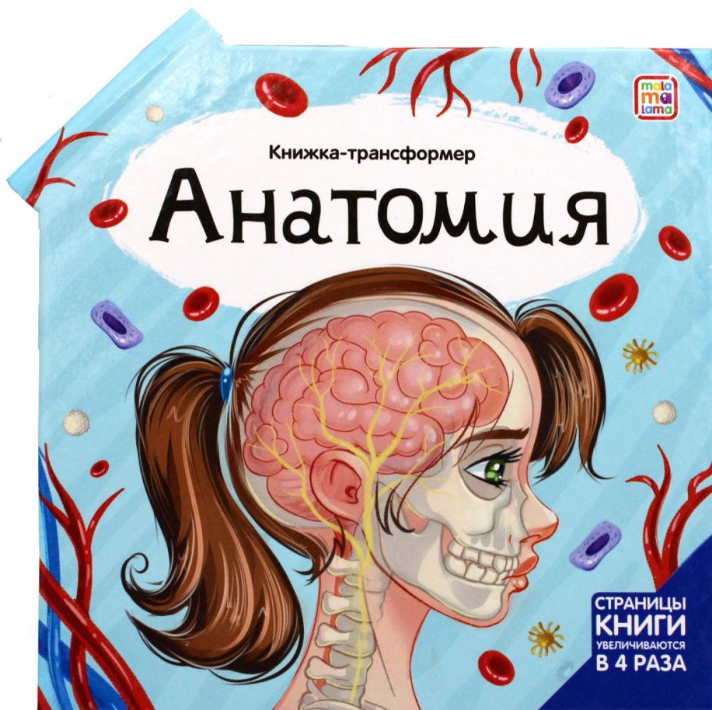 Анатомия: книжка-трансформер