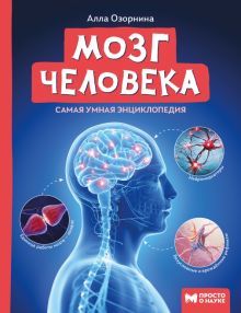 Мозг человека: самая умная энциклопедия