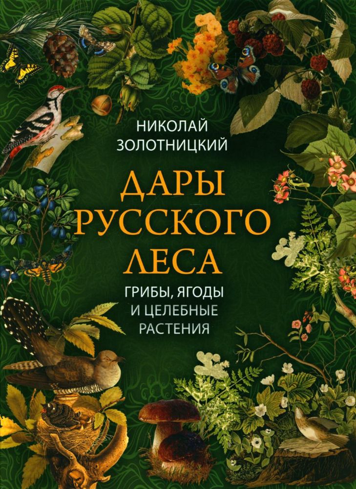 Дары русского леса: грибы, ягоды и целебные растения