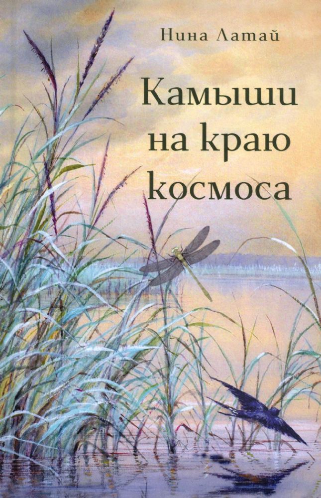 Латай Нина Камыши на краю космоса ISBN 978-5-00170-869-8