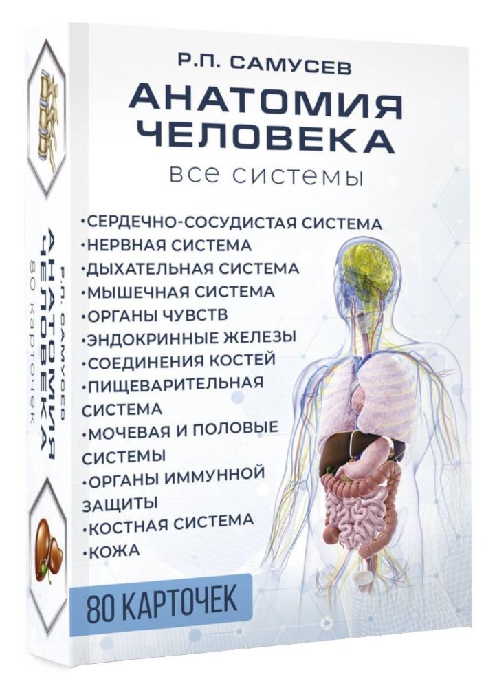 Анатомия человека. Все системы (80 карточек)
