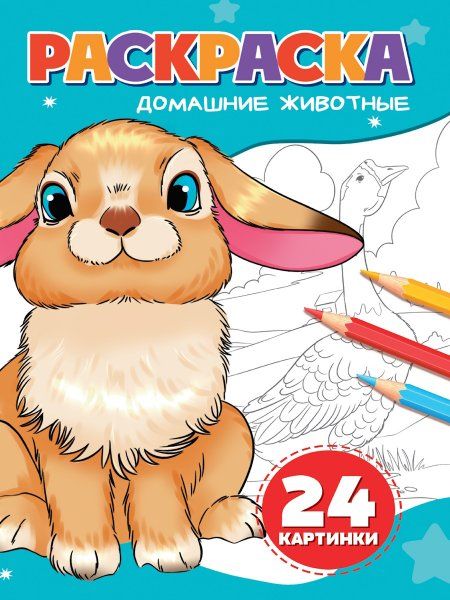 Домашние животные (24 картинки)