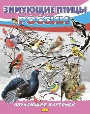 Зимующие птицы России