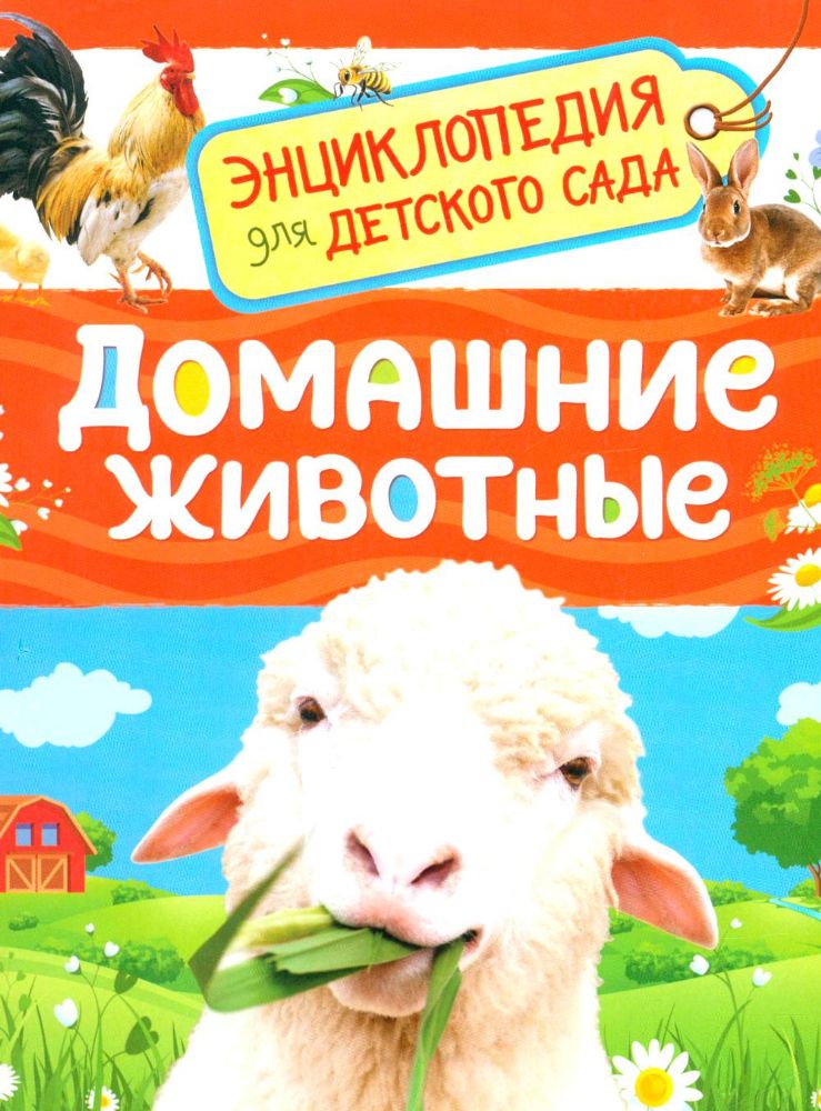 Домашние животные