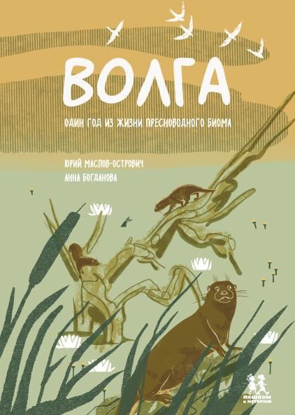 Волга: один год из жизни пресноводного биома. 2-е издание