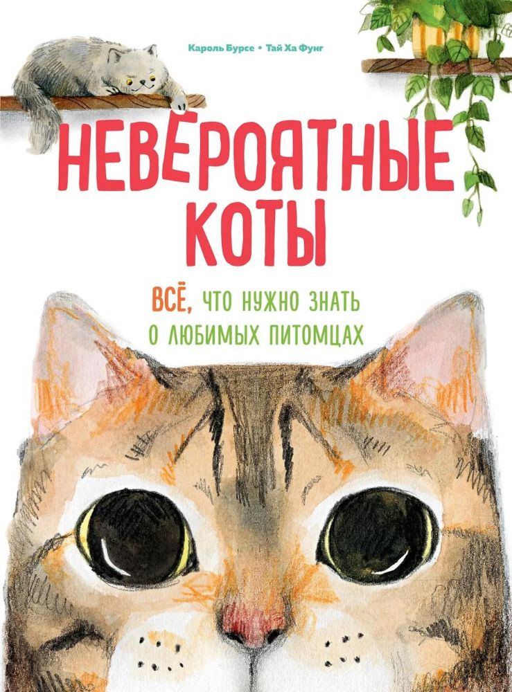 Невероятные коты. Всё, что нужно знать о любимых питомцах
