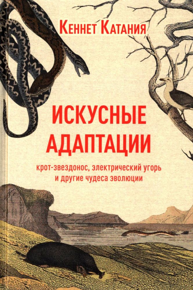 Искусные адаптации. Крот-звездонос, электрический угорь и другие чудеса эволюции