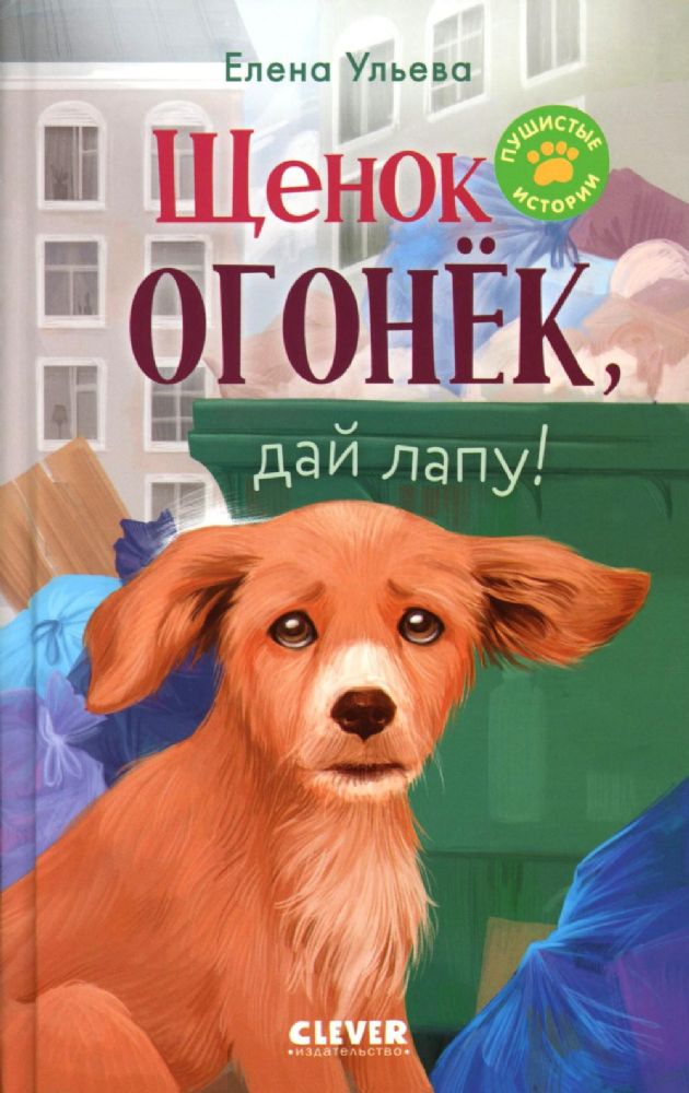 Щенок Огонек, дай лапу!