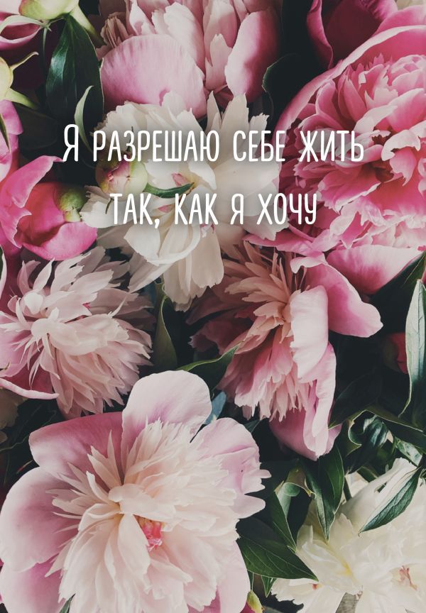 Я разрешаю себе жить так, как я хочу. Ежедневник недатированный (А5, 72 л.)