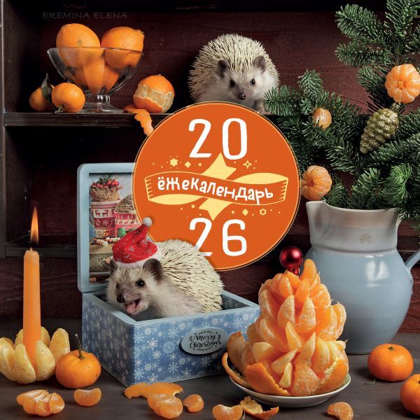 жекалендарь. Сочные мандаринки. Календарь настенный на 2026 год (300х300)