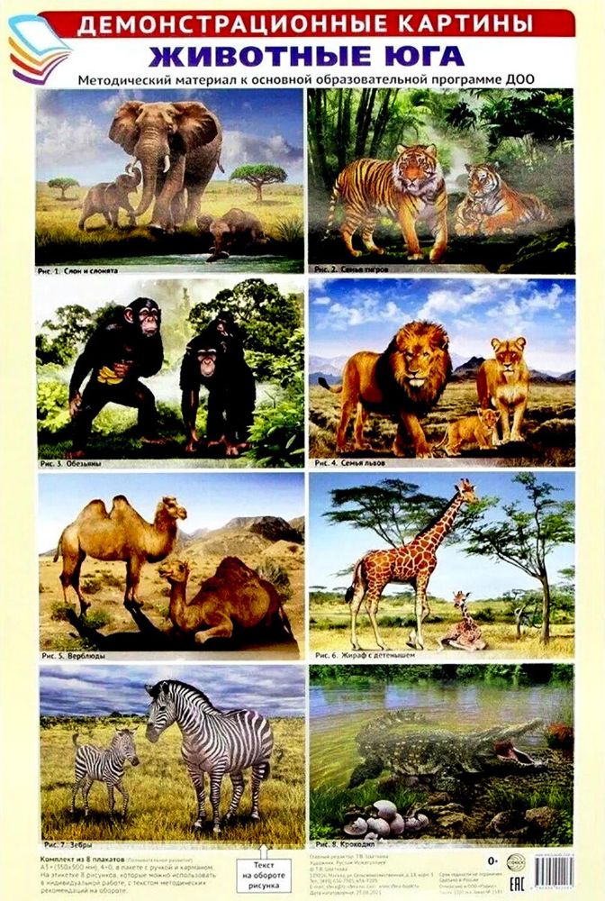 Животные Юга. Методический материал к основной образовательной программе ДОО (8 плакатов)