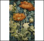 Блокнот Flora Design:Inspired by William Moppis (красные маки)