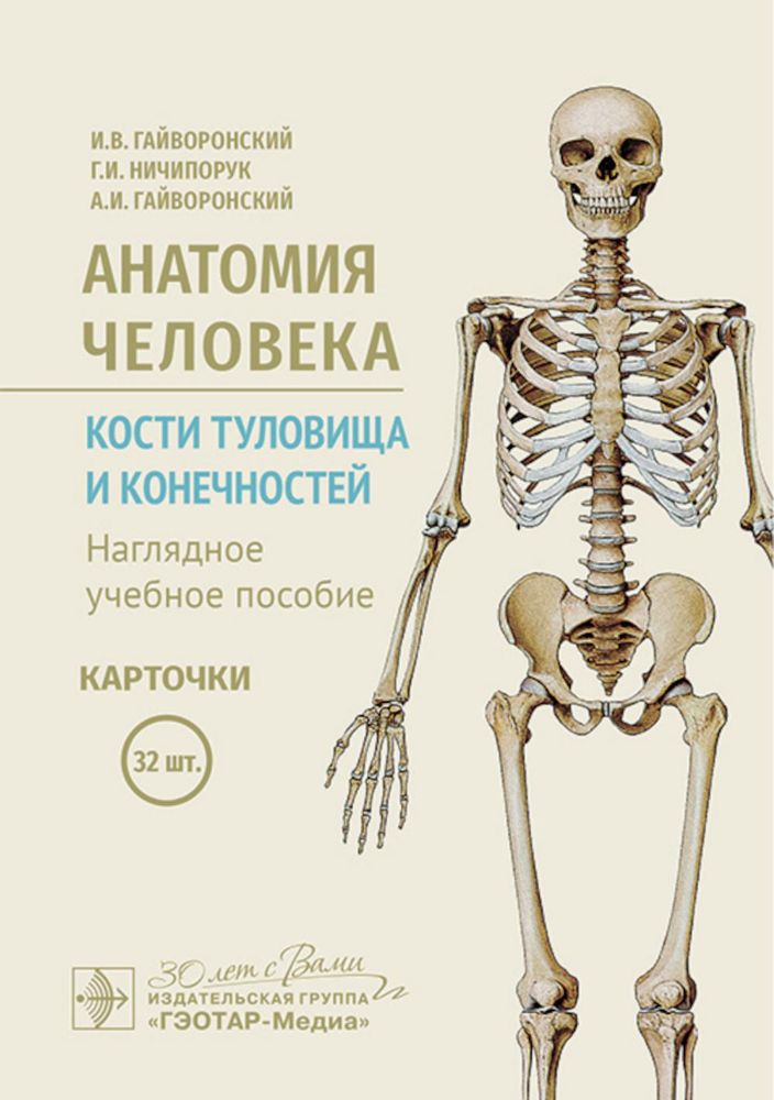 Анатомия человека. Кости туловища и конечностей. Карточки: Наглядное учебное пособие