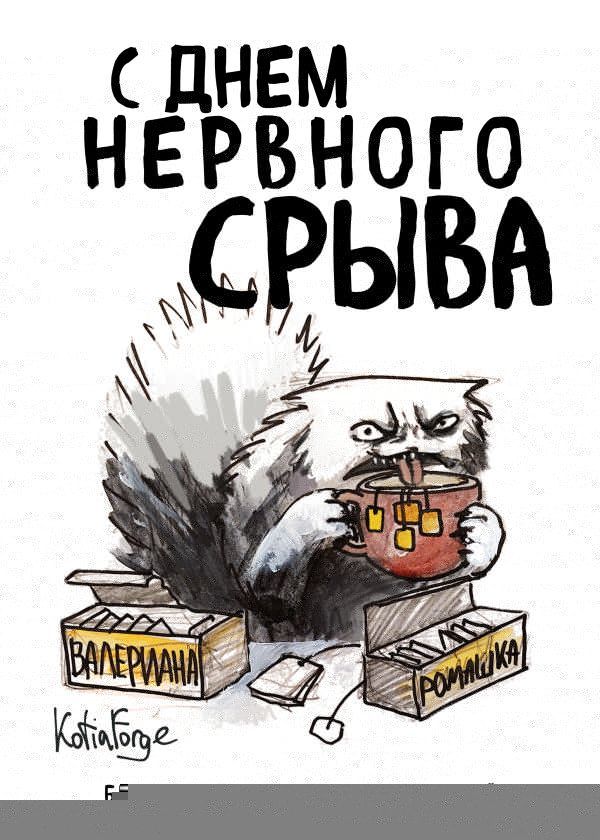 Блокнот-планер недатированный. С днем нервного срыва (А4, 36 л., на скобе)