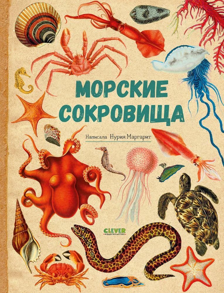Морские сокровища