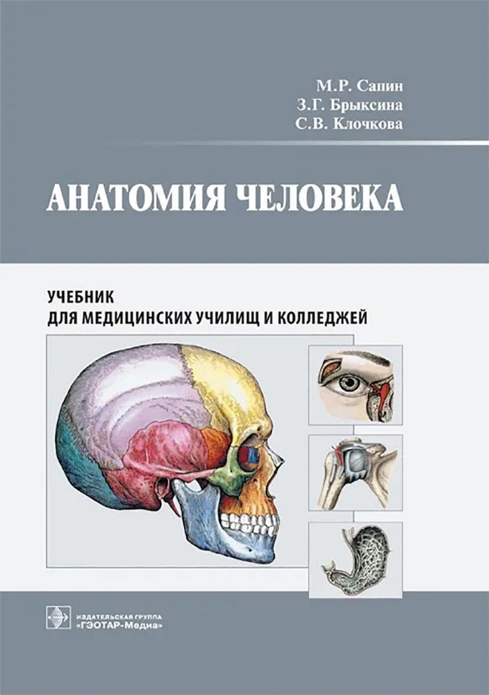 Анатомия человека: учебник для медицинских училищ и колледжей