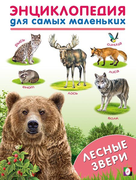 Лесные звери