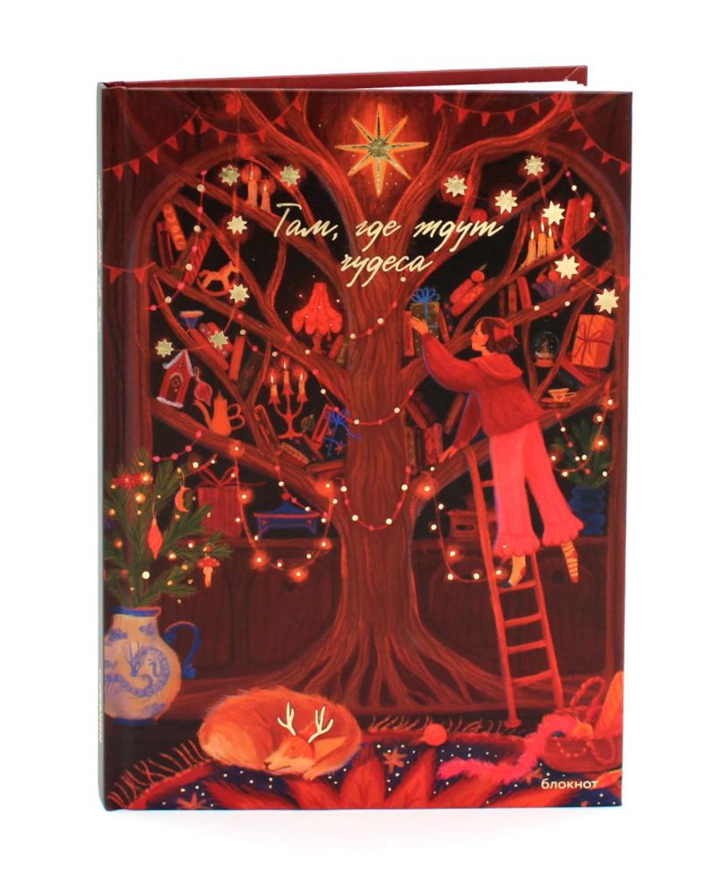 Там, где ждут чудеса. Блокнот