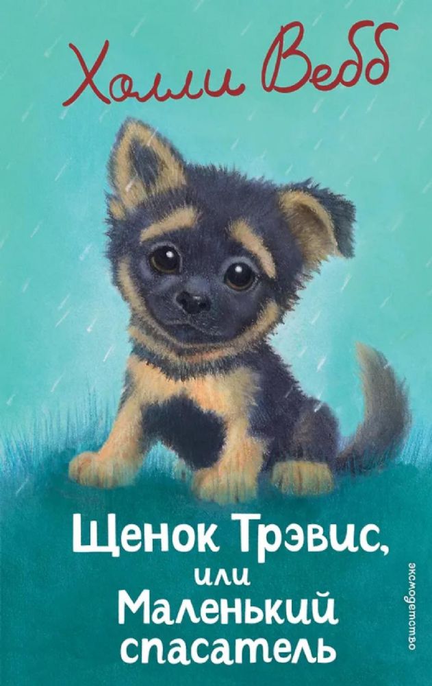 Щенок Трэвис, или Маленький спасатель: повесть