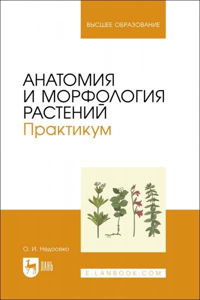 Анатомия и морфология растений. Практикум. Учебное пособие для вузов, 3-е изд., испр. и доп.
