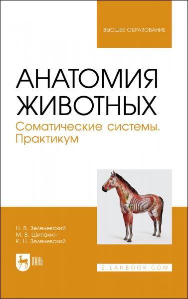 Анатомия животных. Соматические системы. Практикум. Учебное пособие для вузов, 2-е изд., стер.