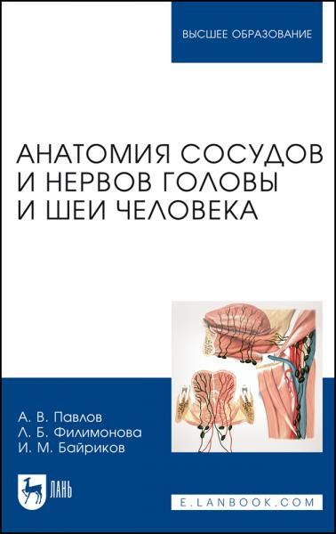 Анатомия сосудов и нервов головы и шеи человека. Учебное пособие для вузов