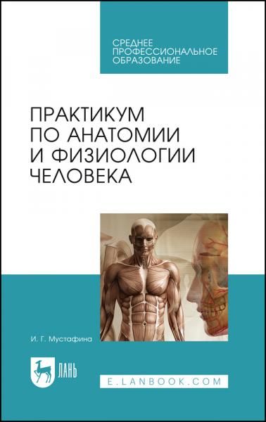 Практикум по анатомии и физиологии человека. Учебное пособие для СПО, 4-е изд., стер.